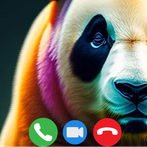 Panda Fake Call Phone prank