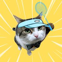 meme cat: smash tennis