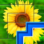Puzzles: Jigsaw Puzzle Games