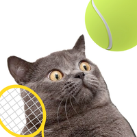 Cat Tennis : Meow Meow