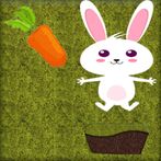 little rabbit