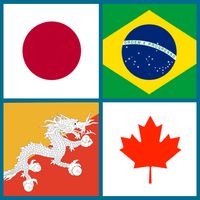 Guess The Flag & City Offline