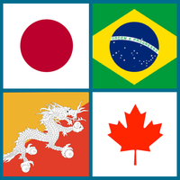 Guess The Flag & City Offline