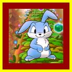 Hop Don't Stop