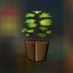 Free New Escape Game 135 Farme