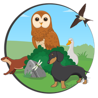 Rejtőzködő állatok - Ügyesedni