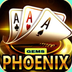 Phoenix Game - Puzzle