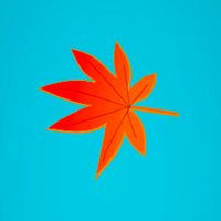 Leaf blower