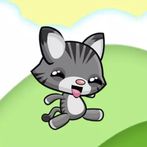 Kitten Run