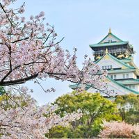 Trip to Japan: Driving Game