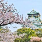 Trip to Japan: Driving Game