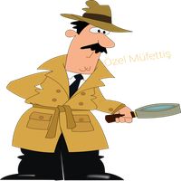 Özel Müfettiş