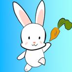 TokkiRun Pro