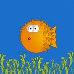 Puffer Plunge
