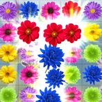 Flower Blast: Garden Blossom