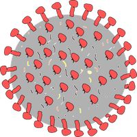 Don't Touch It : A Virus Game