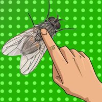Tap The Fly