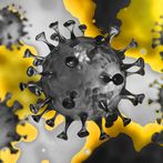 VIRUS NO MORE PREMIUM