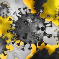 VIRUS NO MORE PREMIUM