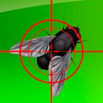 Angry mosquitoes AR in 3D