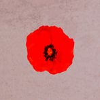 Pillars On Poppy Hills