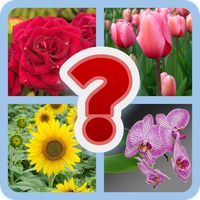 Guess the Flower Quiz