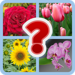 Guess the Flower Quiz