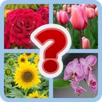 Guess the Flower Quiz