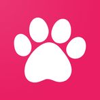Cute Kittens Memory Game