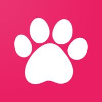Cute Kittens Memory Game