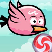 Candy Bird : The flappy saga