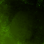 Left to Dead: Survive Shooter