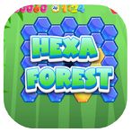 Hexa Forest