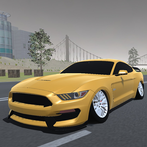 Driving Mustang Car Racing