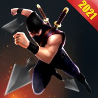 Ninja Assassin legend Adventur