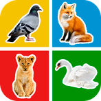 Flashcards : Learning for Kids