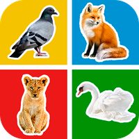 Flashcards : Learning for Kids