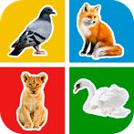 Flashcards : Learning for Kids