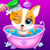 Gracy App