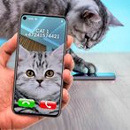 Joke Video Call to Cat