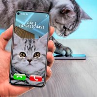 Joke Video Call to Cat