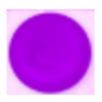 폭8은 예술이다