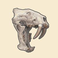 Fossil Quiz by PalaeoArt