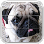 Dogs Puzzle Game