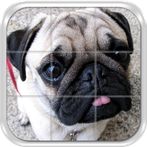 Dogs Puzzle Game