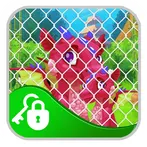Winsome Dragon Escape