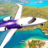 Plane Simulator Flight Pilot