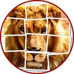 Lion Puzzle