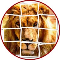 Lion Puzzle