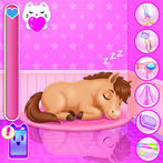 Zoo Animal Hotel